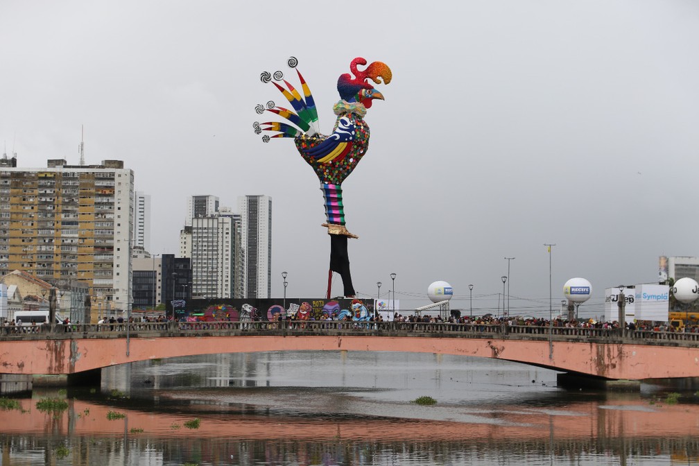 GALO DA MADRUGADA